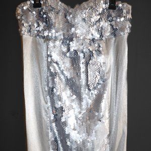 The Silver Strapless Sequin Dress